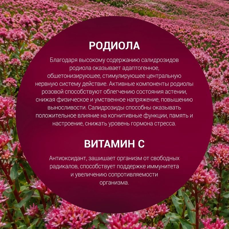 Родиола Розовая Экстракт Вис капсулы 30 шт., фото №6